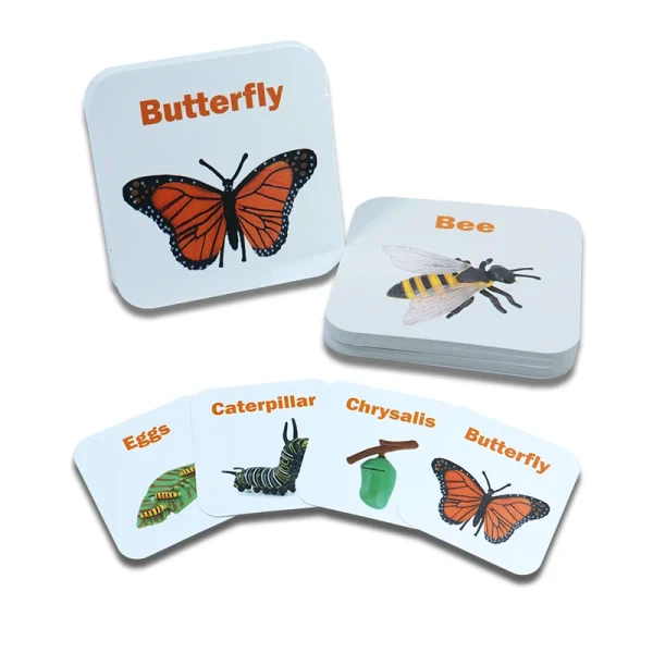Customized Animal Flash Cards For Kids
