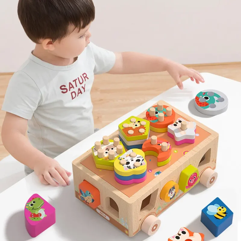 Wooden Educational Baby Puzzle Toy